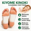 Bee Venom Lymphatic Drainage & Slimming Foot Patches (Set of 10 Patches)